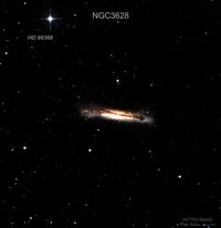 NGC3638