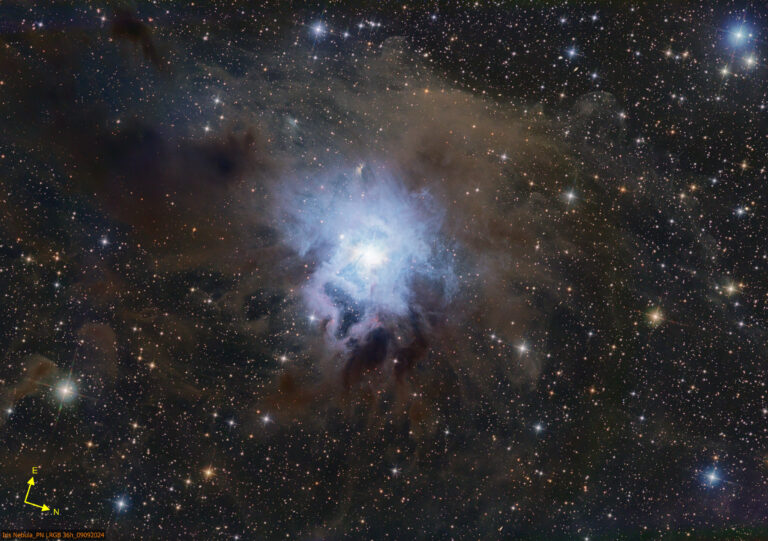 NGC 7023 (Iris Nebel)