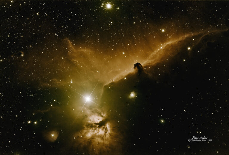 IC 434 (Pferdekopfnebel)