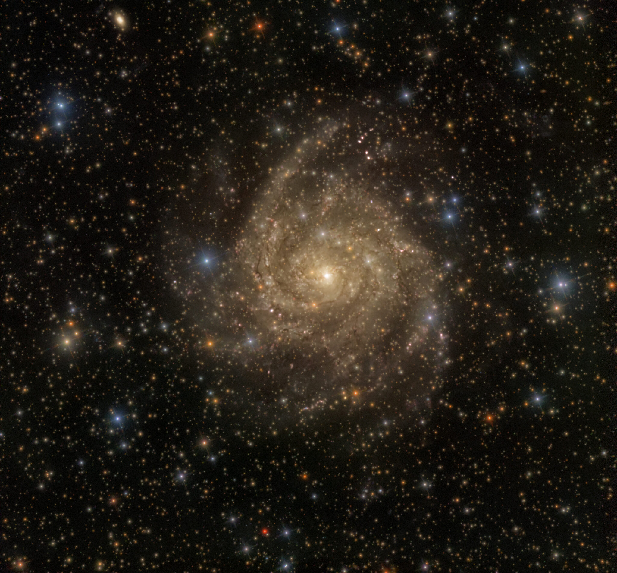 IC 342 (Maffei 1 Gruppe)