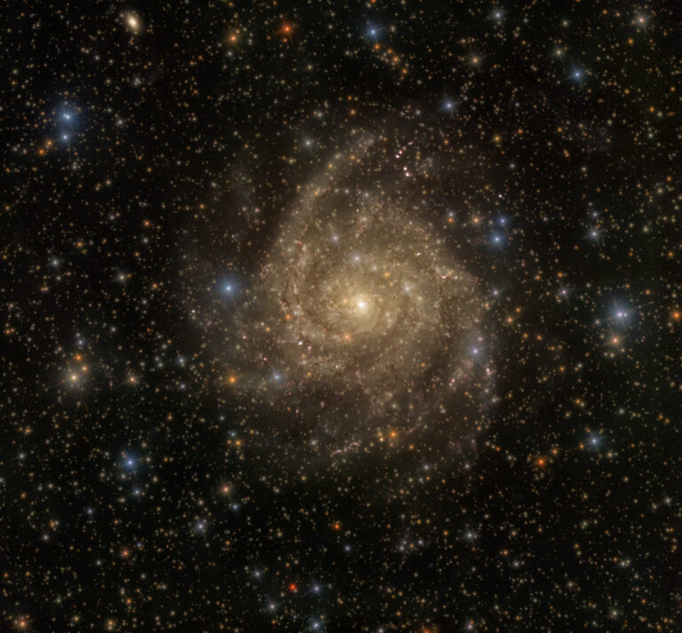 IC 342 (Maffei 1 Gruppe)