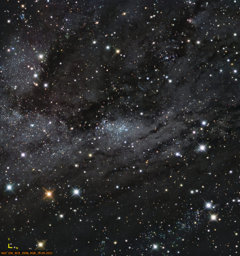 NCG206