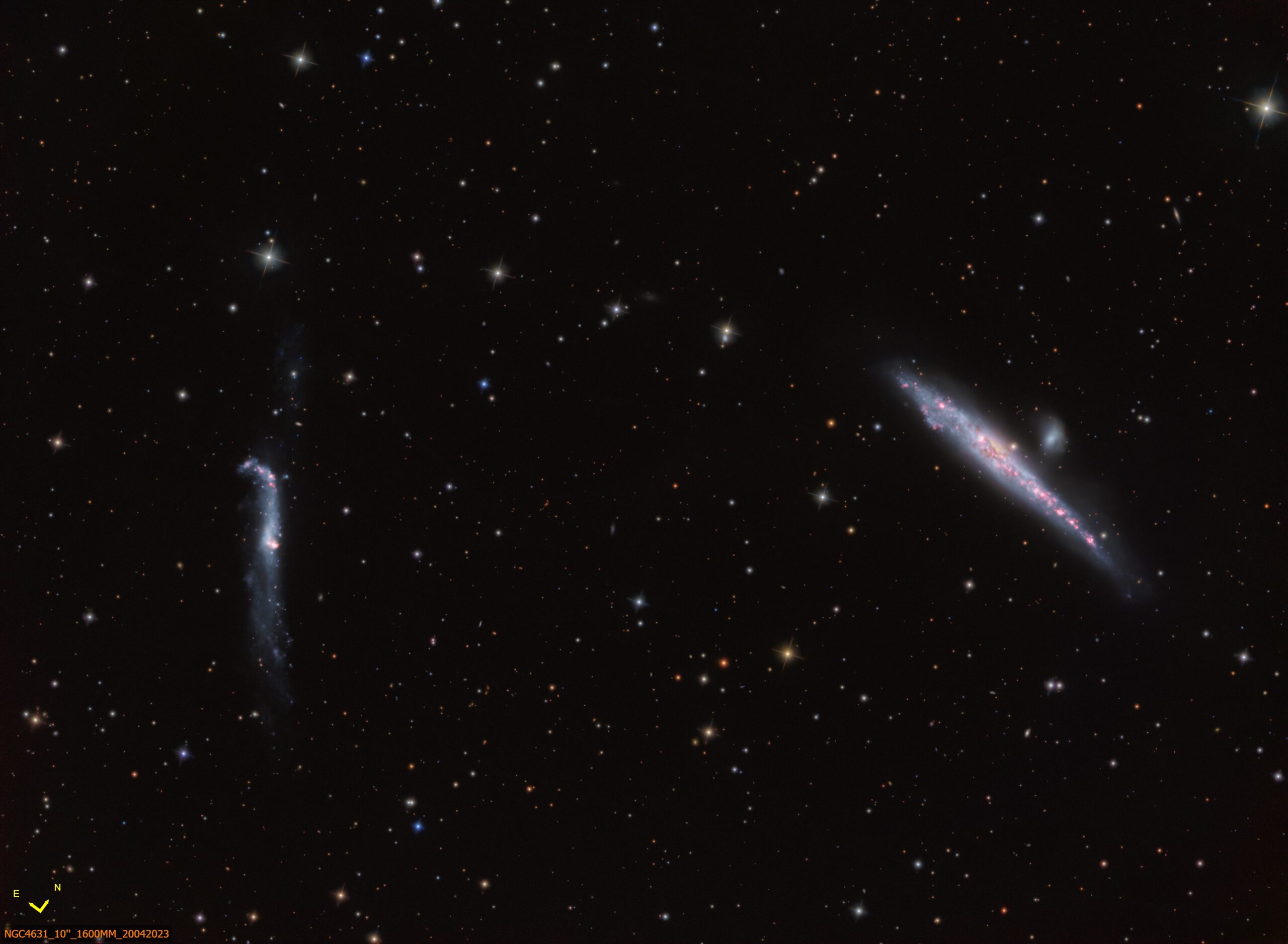 NGC 4631 und NGC 4656/7(Walfisch&Hockeyschläger-Galaxien)