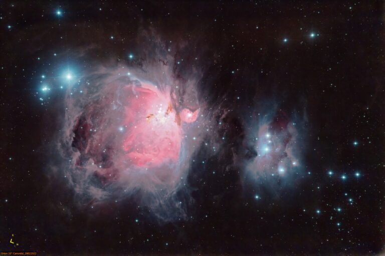 M42