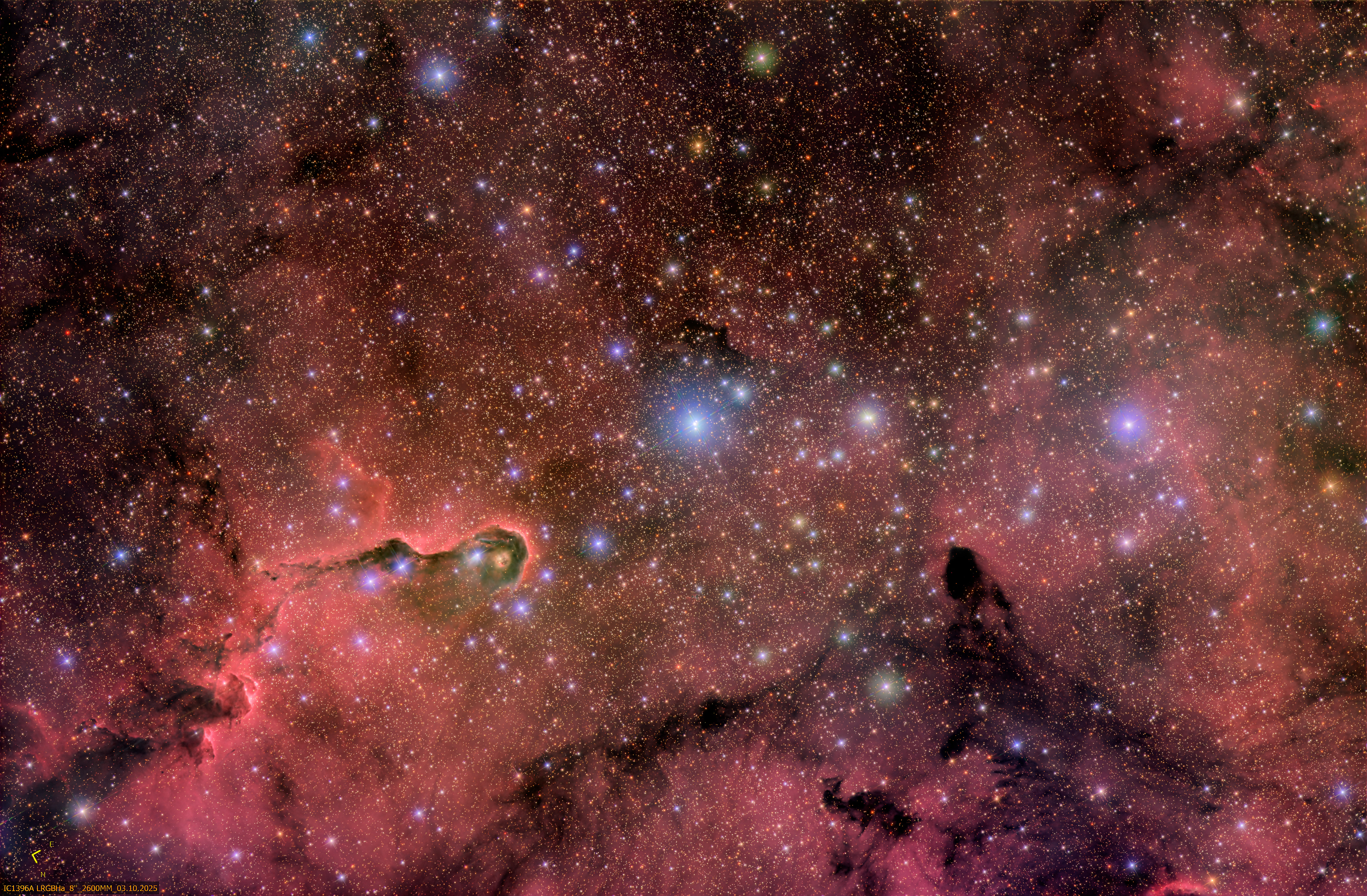 IC 1396A