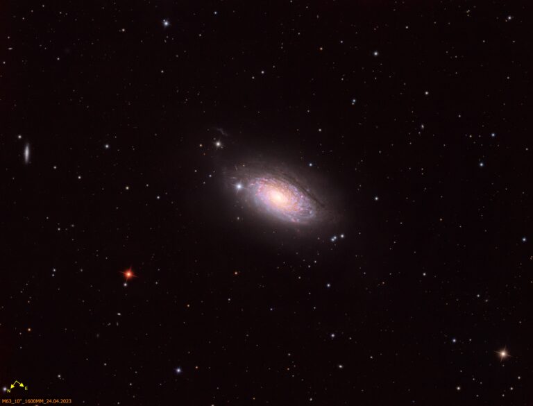 M63